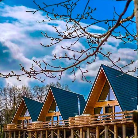 Cabana 365 Брашов Экстерьер фото