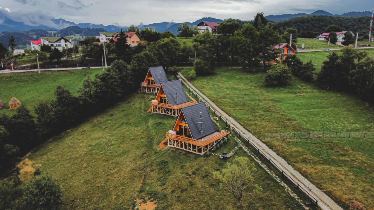 Cabana 365 Брашов Экстерьер фото