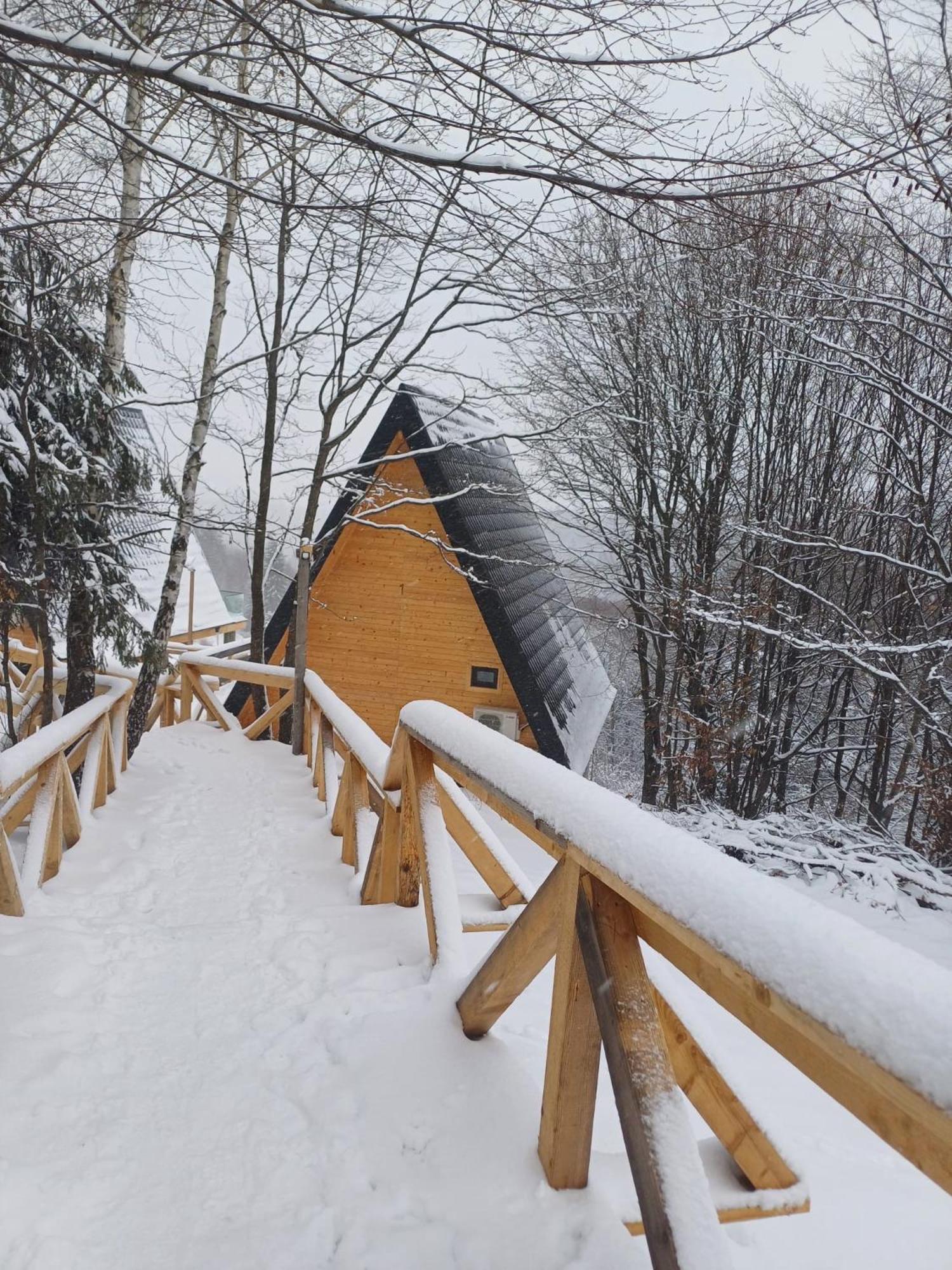 Cabana 365 Брашов Экстерьер фото
